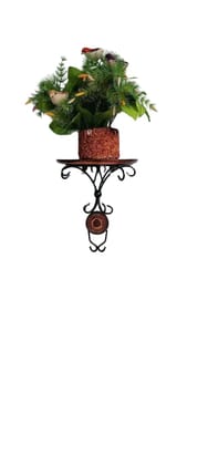  Wall-Mounted Plant 