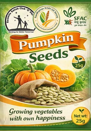 Premium Pumpkin Seeds- 25gm Premium Pumpkin Seeds- 25gm