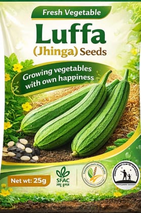 Premium Luffa Seeds- 25gm