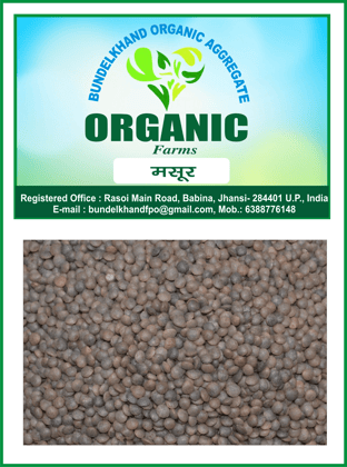 BUNDELKHAND ORGANIC AGGREGATE Organic Farms Masoor Dal - Premium Red Lentils