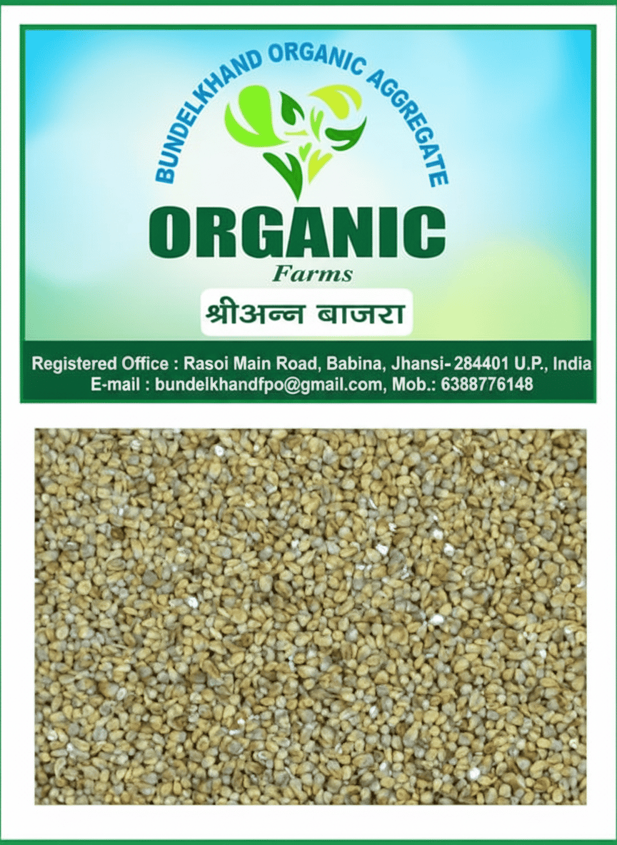 BUNDELKHAND ORGANIC AGGREGATE ORGANIC Farms  Bajra