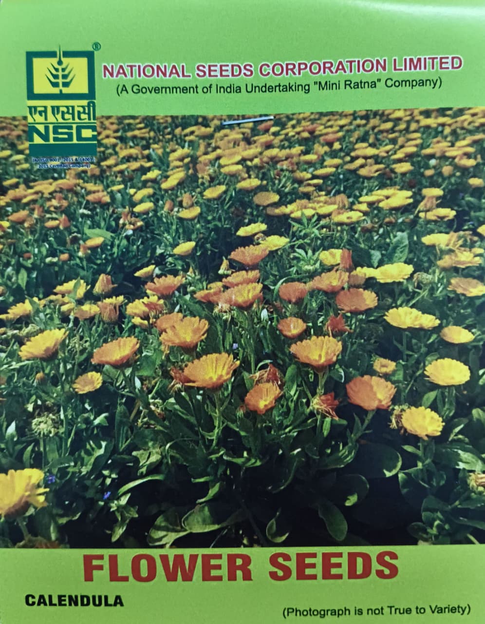 Calendula