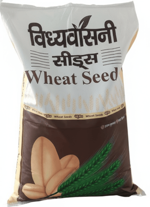 Vindhya Vashni Premium Wheat Seeds for Superior Quality & High Yield,  3 KG,  Varieties Pdw303, Pdw187, Hd2967, Unnat343, Hd222, Hd327