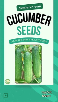 Premium Quality Cucumber Seed - 100gm Premium Quality Cucumber Seed - 100gm