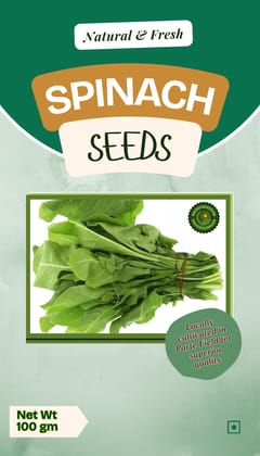 Premium Quality Spinach Seeds- 100gm