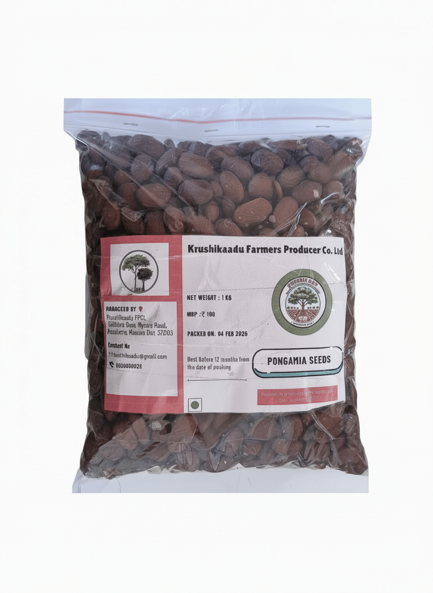Premium Dried Red Beans - Wholesome & Versatile - 1 KG