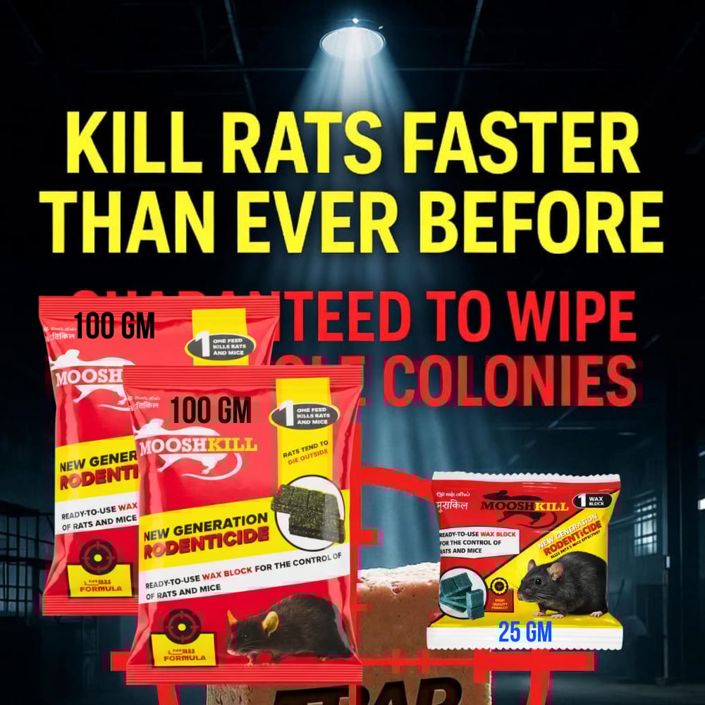 Powerful Rodent Control Cake | Kill in One Feed Formula | Effective for Home, Shop & Warehouse Use Fast-Acting Poison for Rats & Mice | 100GMx2+25GMx1