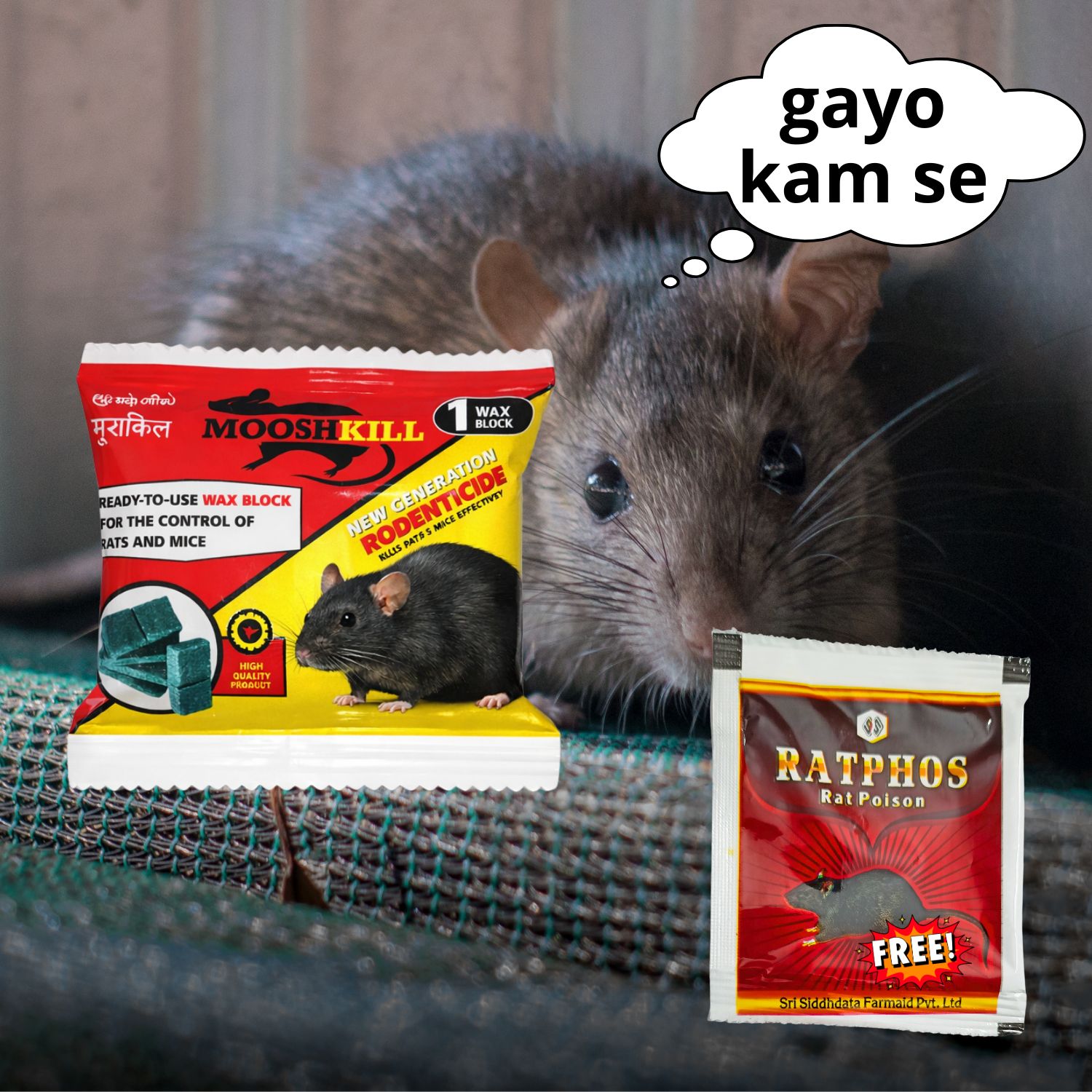 Ready To Use Rat Killer Cake 25GM & Rat Killer Zinc Phosphide Powder Combo | चूहे मारने वाला पैक 25GMx1+ZINC-10Gx1