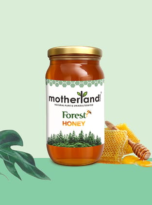 Pure & Raw Wild Forest Honey | Motherland Pure