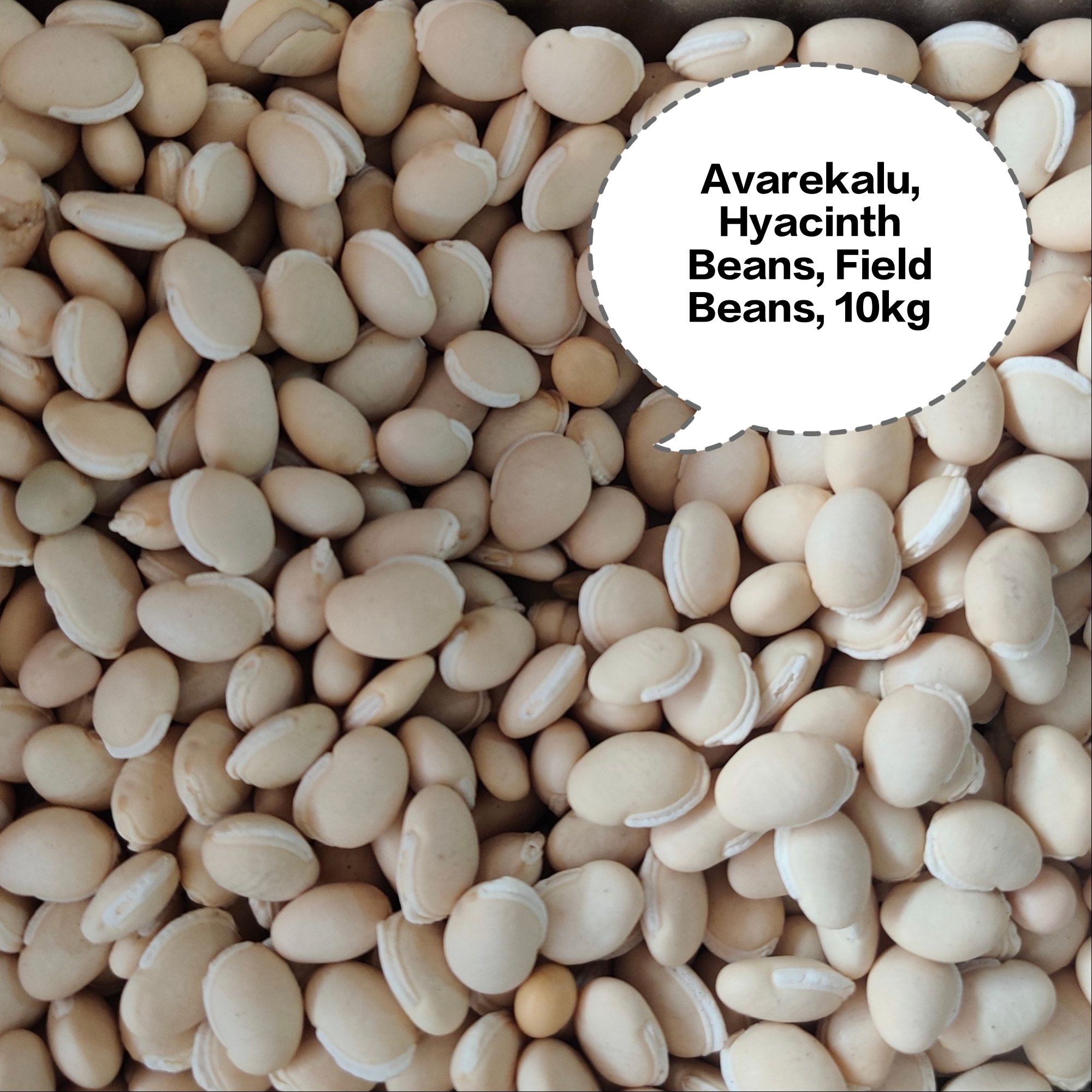 Avarekalu, Hyacinth Beans, Field Beans, Surti Papdi Beans, Sem Phali 10kg