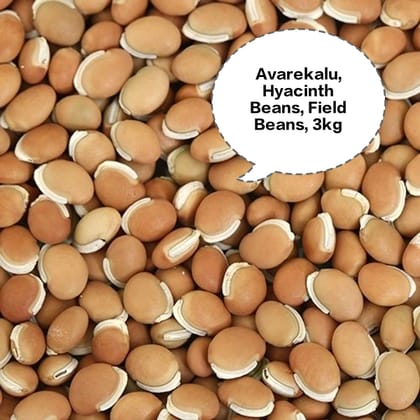Avarekalu, Hyacinth Beans, Field Beans, Surti Papdi Beans, Sem Phali 3kg Avarekalu, Hyacinth Beans, Field Beans, Surti Papdi Beans, Sem Phali 3kg