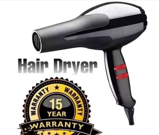 6130 Professional Hair Dryer