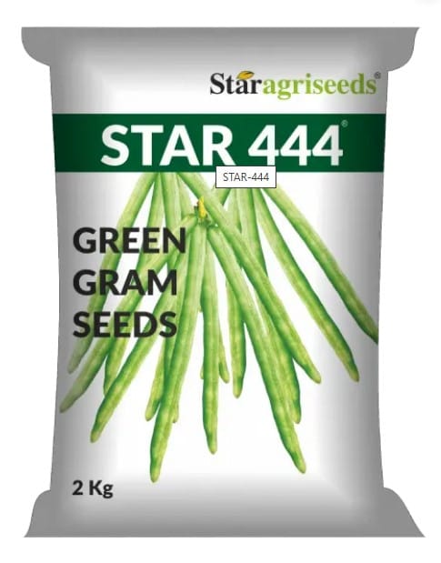 Moong PS-444 Seed