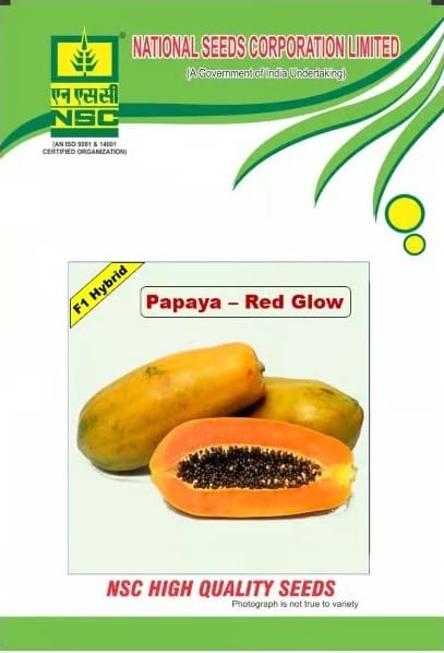NSC F1 Redglow GR4 Treated Papaya Seeds
