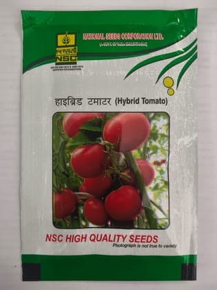  Hybrid Tomato –  Arka Samrat TL