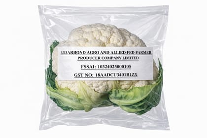 CAULIFLOWER