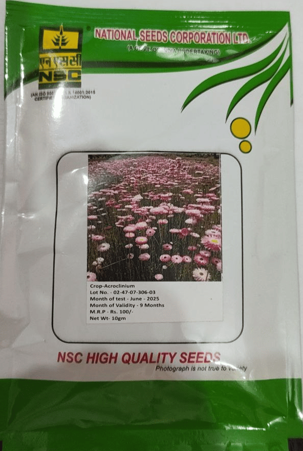 NSC Acroclinium Flower Seeds 10gm - High Quality