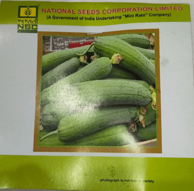 NSC Spoung Gourd Seeds Variety - Kashi Shreya, 5g Packet