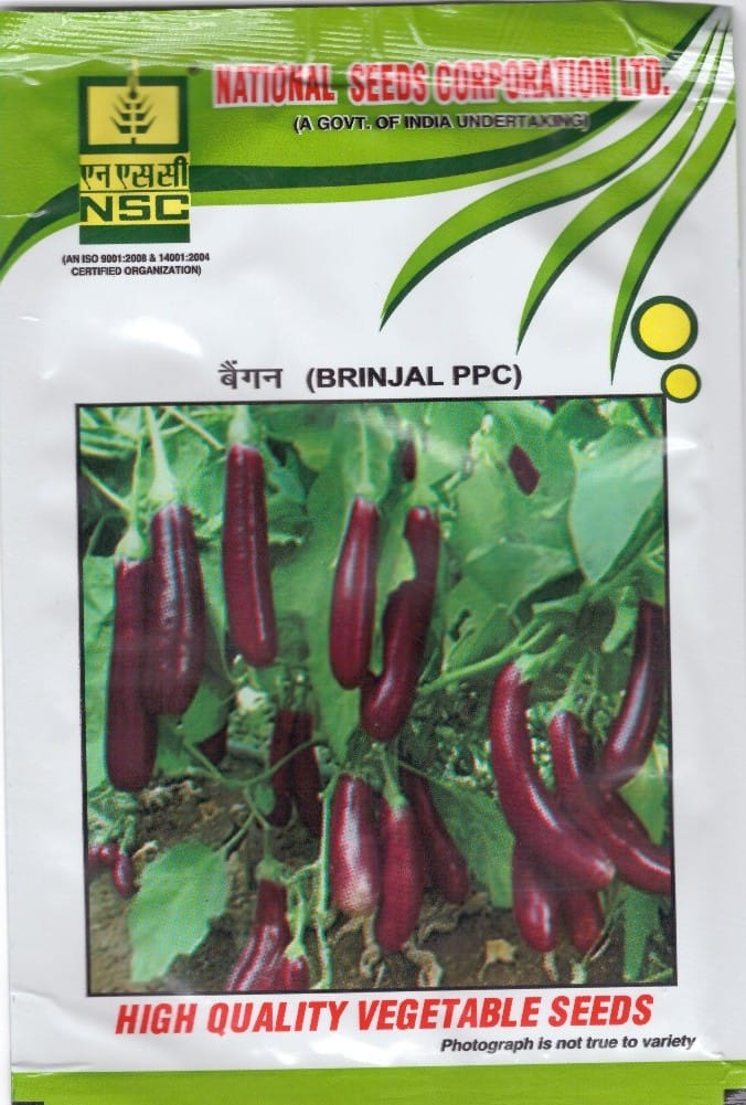 NSC Brinjal PPC 10g Truthful Label Seed