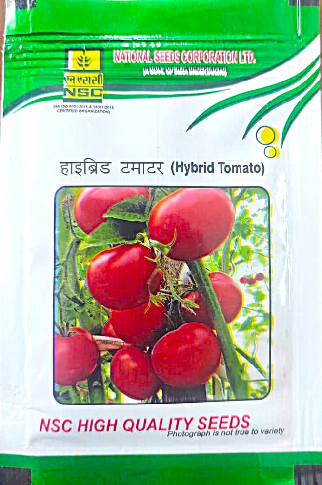 TOMATO - KASHI ABHIMAN-TL