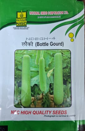 NSC BOTTLE GOURD NDBGH-4 HYBRID