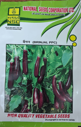 NSC BRINJAL PPC 10 GM NSC BRINJAL PPC 10 GM