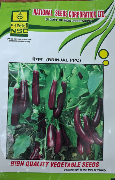 NSC BRINJAL PPC 10 GM