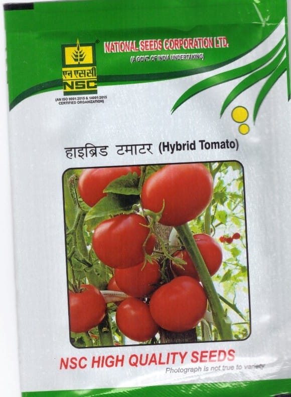 NSC Tomato Kashi Abhiman, 5g Hybrid Seed