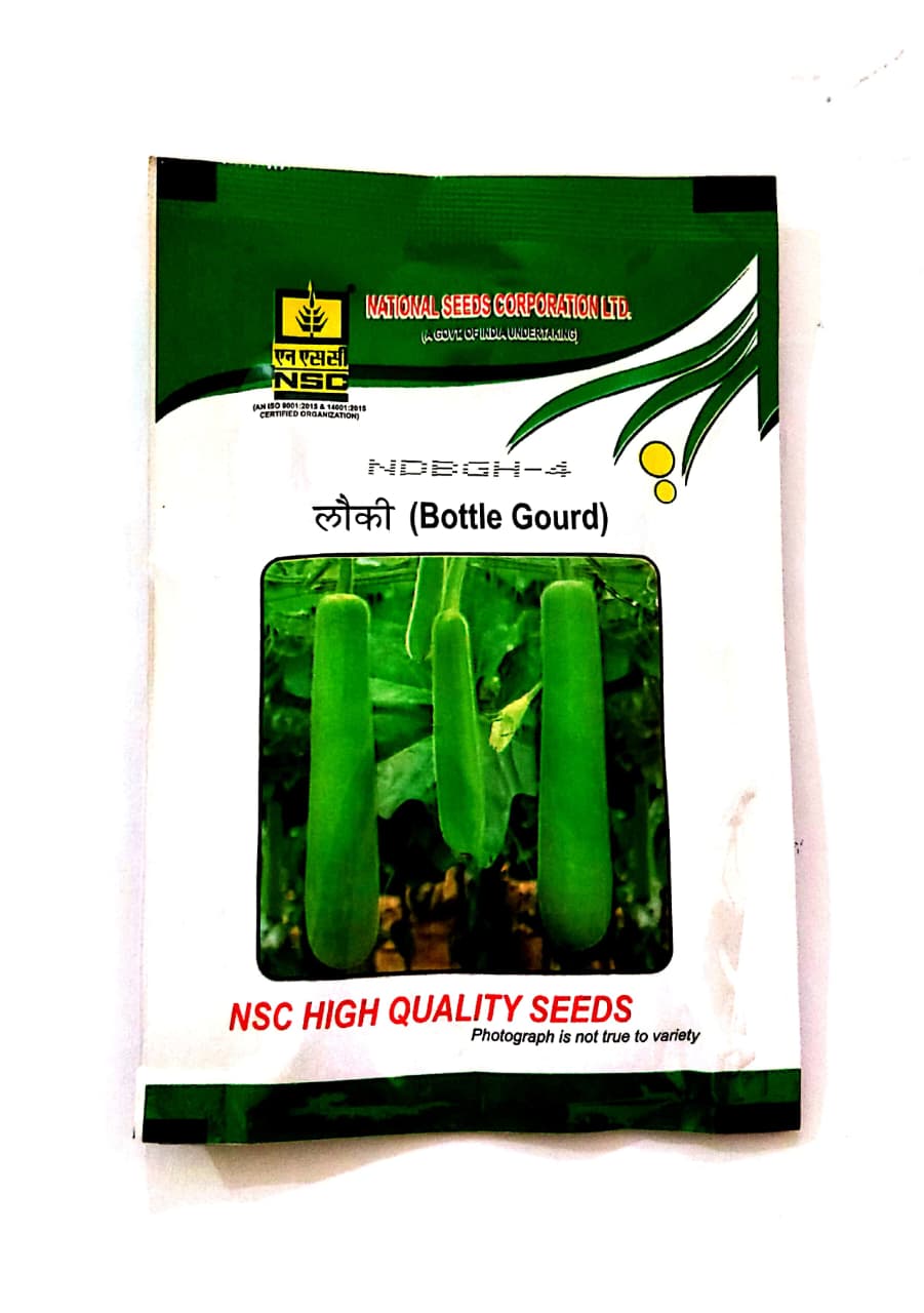 NSC BOTTLEGOURD NDBGH-4 10 GM Quality Seeds for Bountiful Harvests