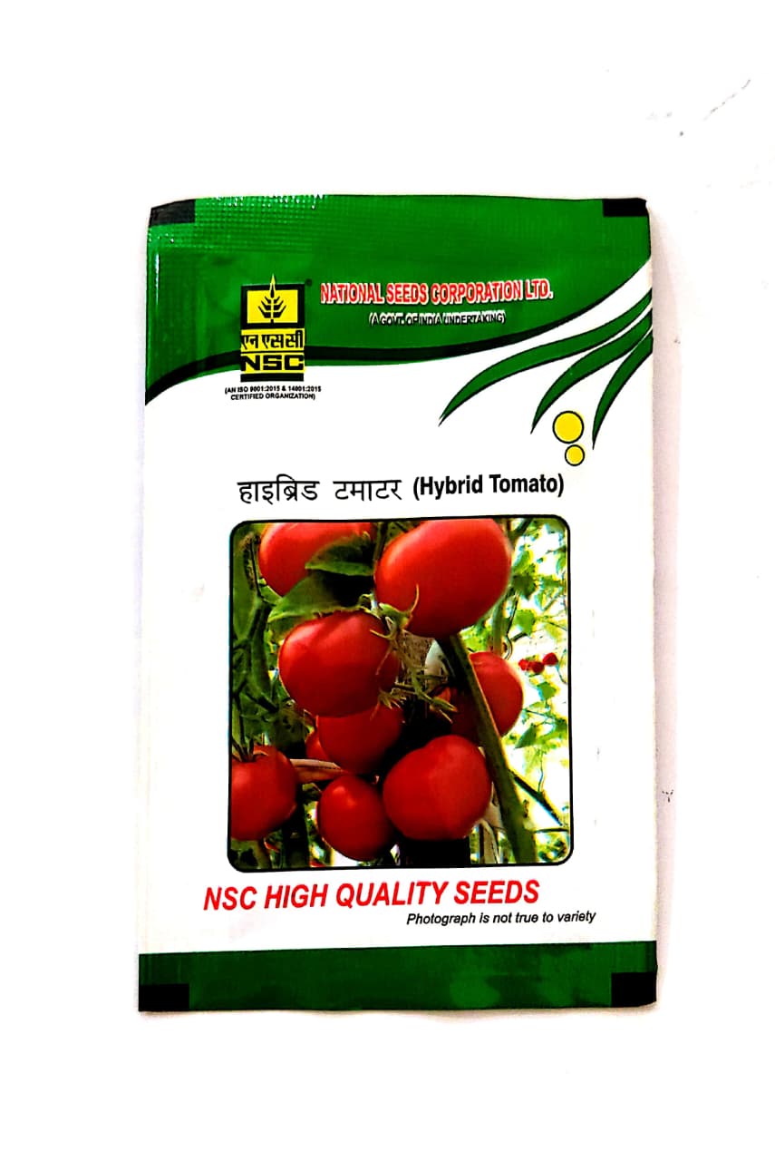 NSC Tomato Kashi Abhiman Variety Hybrid F1, 5 gram T/L Seed