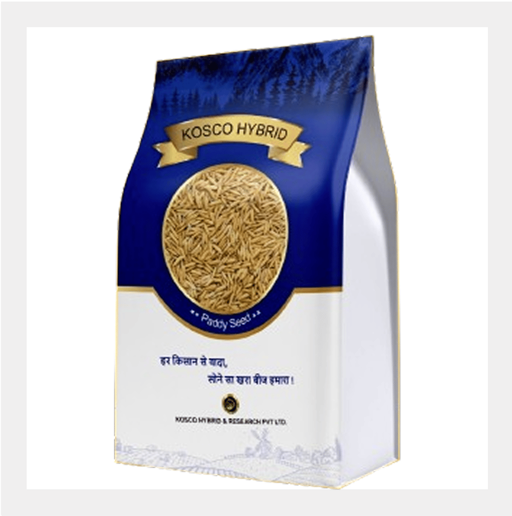 PB 1692 Basmati Paddy Seed – High Yield Variety | Kosco Hybrid