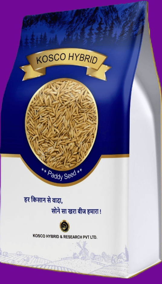 PB 1885 Basmati Paddy Seed – High Yield Variety | Kosco Hybrid