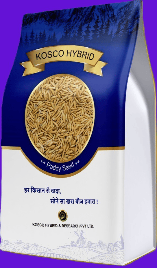 PB 1979 Basmati Paddy Seed – High Yield Variety | Kosco Hybrid
