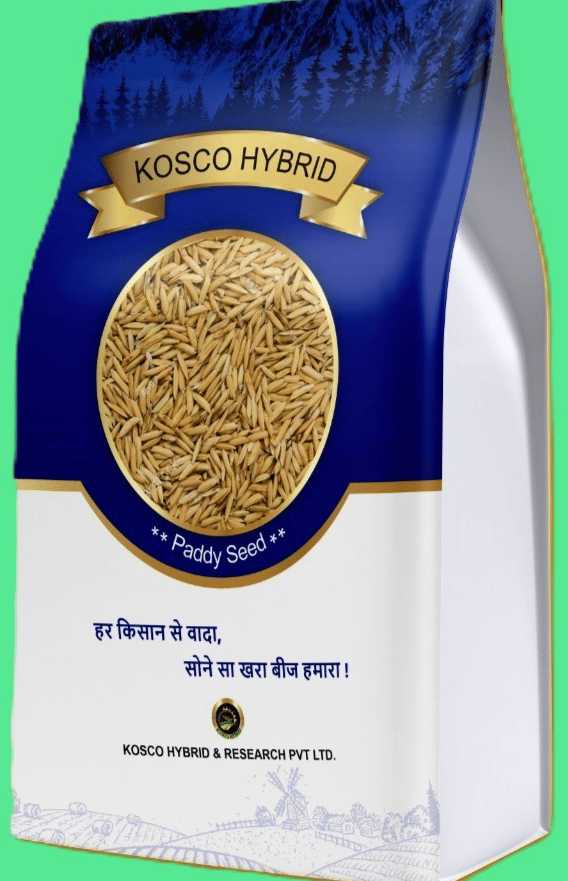 PB 01 Basmati Paddy Seed – High Yield Variety | Kosco Hybrid