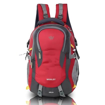 Wesley Spartan Unisex Travel Hiking Laptop Bag fits Upto 17.3 inch with Raincover and Internal Organiser Backpack Rucksack College Backpack