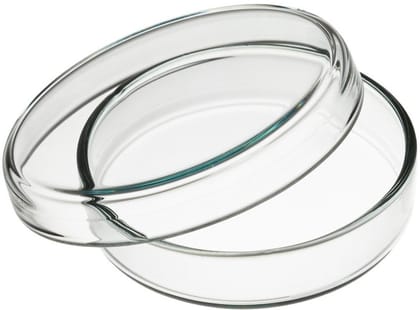 SHIP SHAPE LABWARE PETRI DISHES