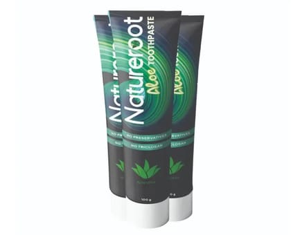 Darjuv9 Natureroot Aloe Toothpaste