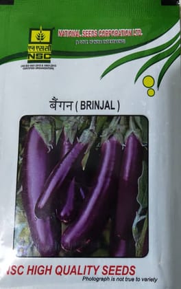 NSC BRINJAL variety- PPL, 10 gm of TL seed NSC BRINJAL variety- PPL, 10 gm of TL seed