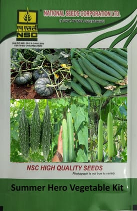 NSC Summer Hero Vegetable Kit + One Tool Item