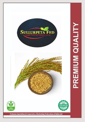 Sullurpeta Fed Paddy Dhan Premium Quality Sullurpeta Fed Paddy Dhan Premium Quality