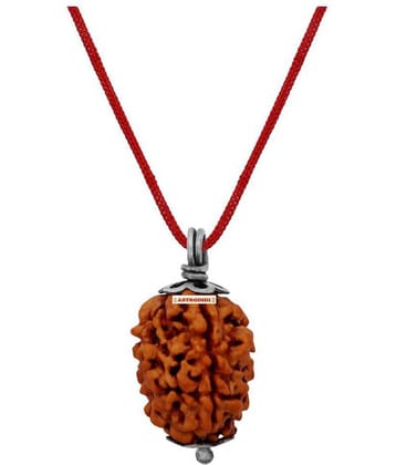 Astrodidi 3 Mukhi Rudraksha With Lab Certified
