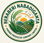 Beraberi Nabadiganta Farmer Producer Company Limited