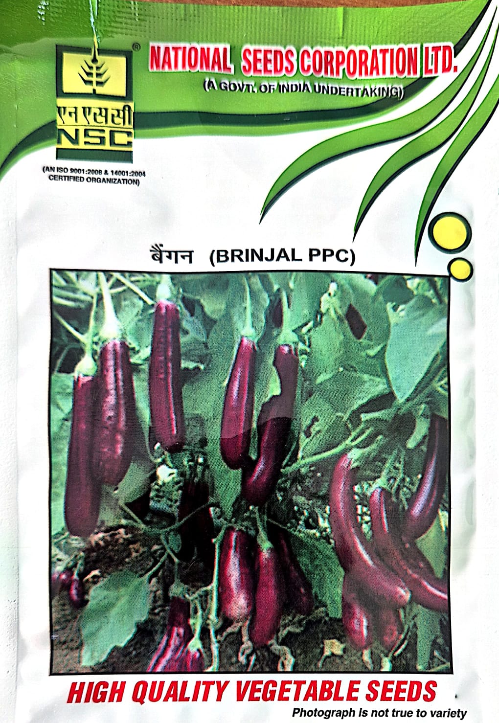 NSC BRINJAL PPC SEEDS -10GM