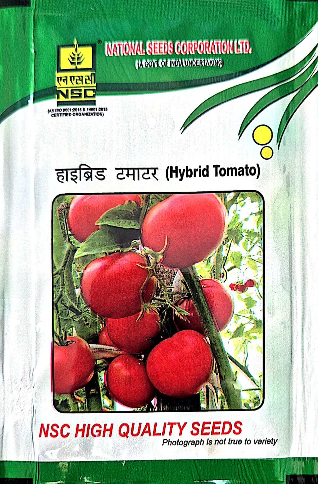 NSC HYBRID TOMATO (KASHI ABHIMAN) - 5GM
