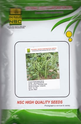 NSC Cowpea(चवला) variety - kashi nidhi , 250g Truthful Label Seed