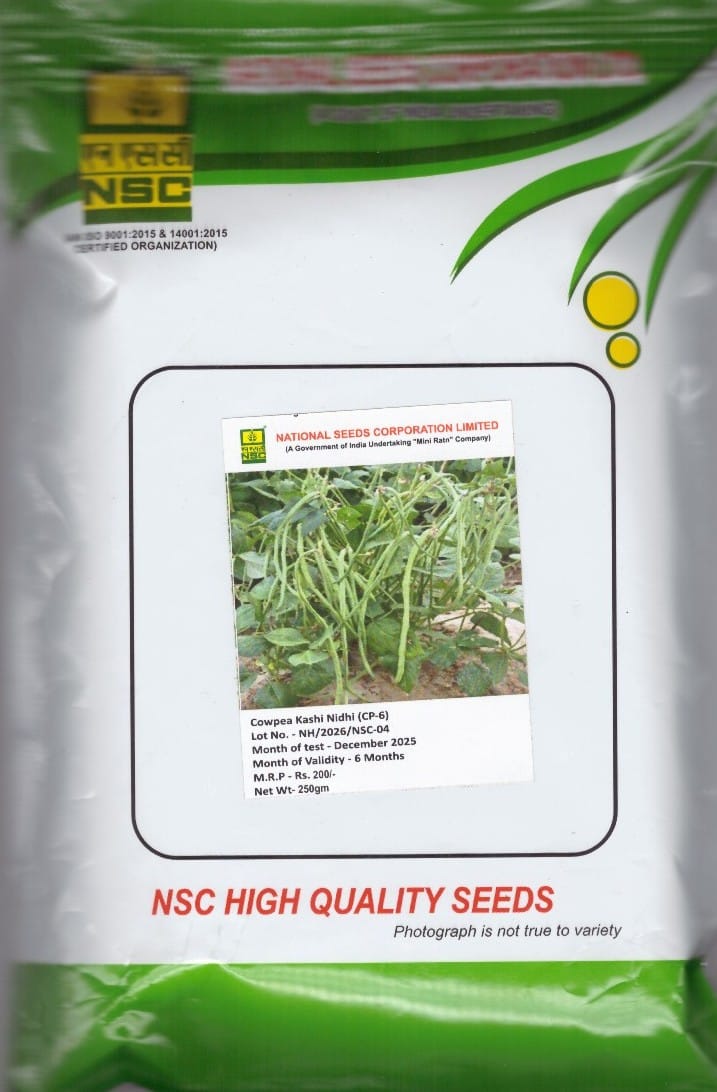 NSC Cowpea(चवला) variety - kashi nidhi , 250g Truthful Label Seed