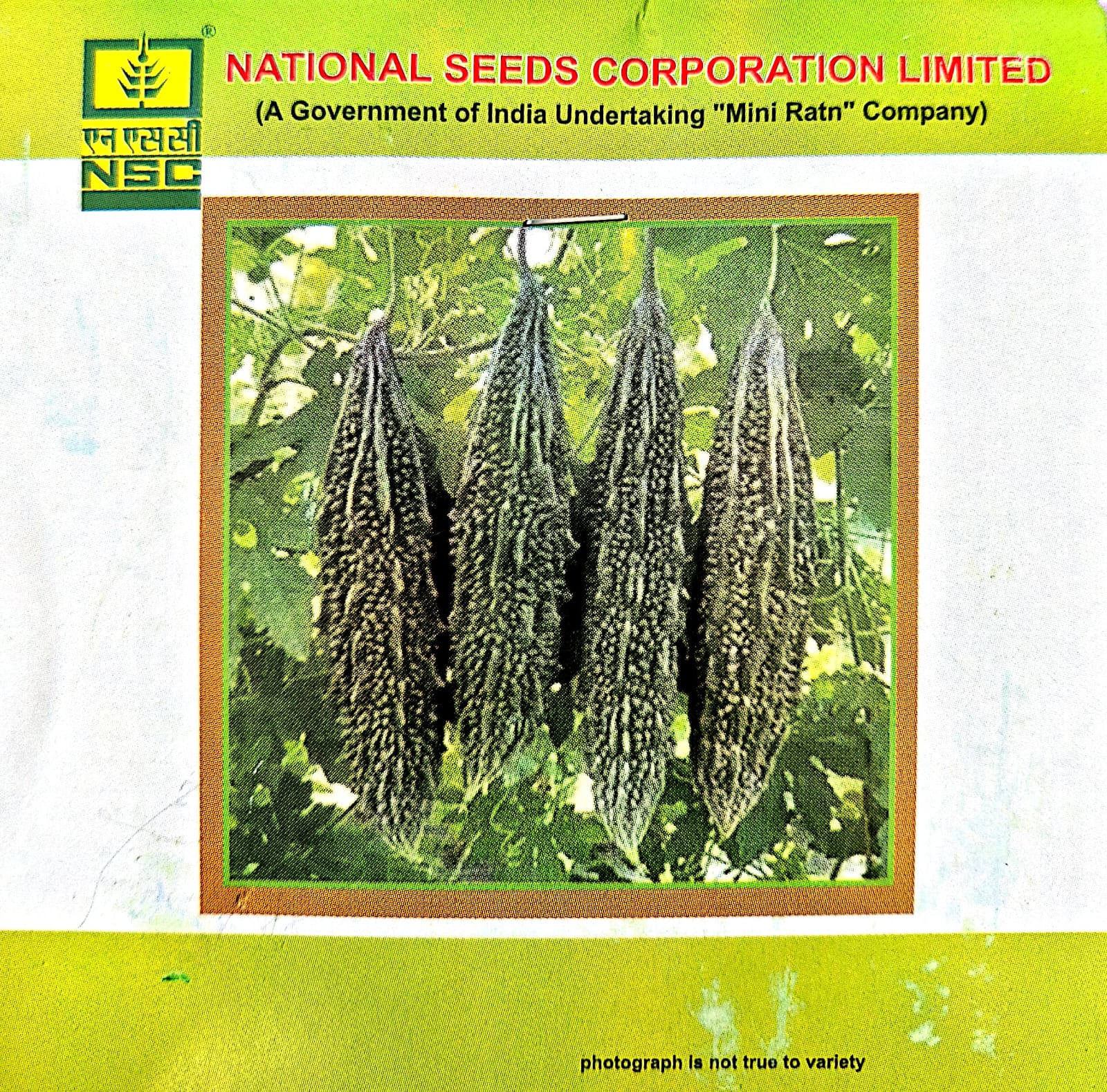 NSC BITTER GOURD VAR - KASHI PRATISHTA - 5 GM