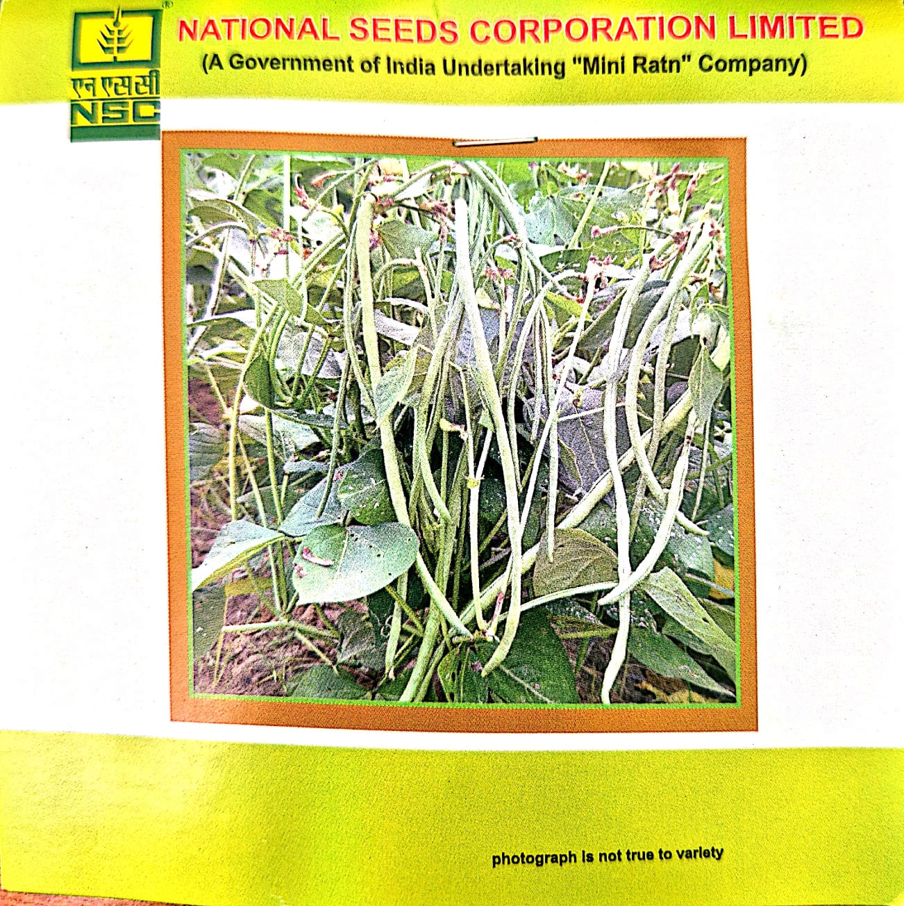 COWPEA VAR - KASHI NIDHI - 20 GM