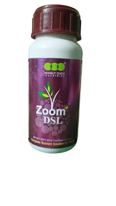 Zoom DSL Zoom DSL
