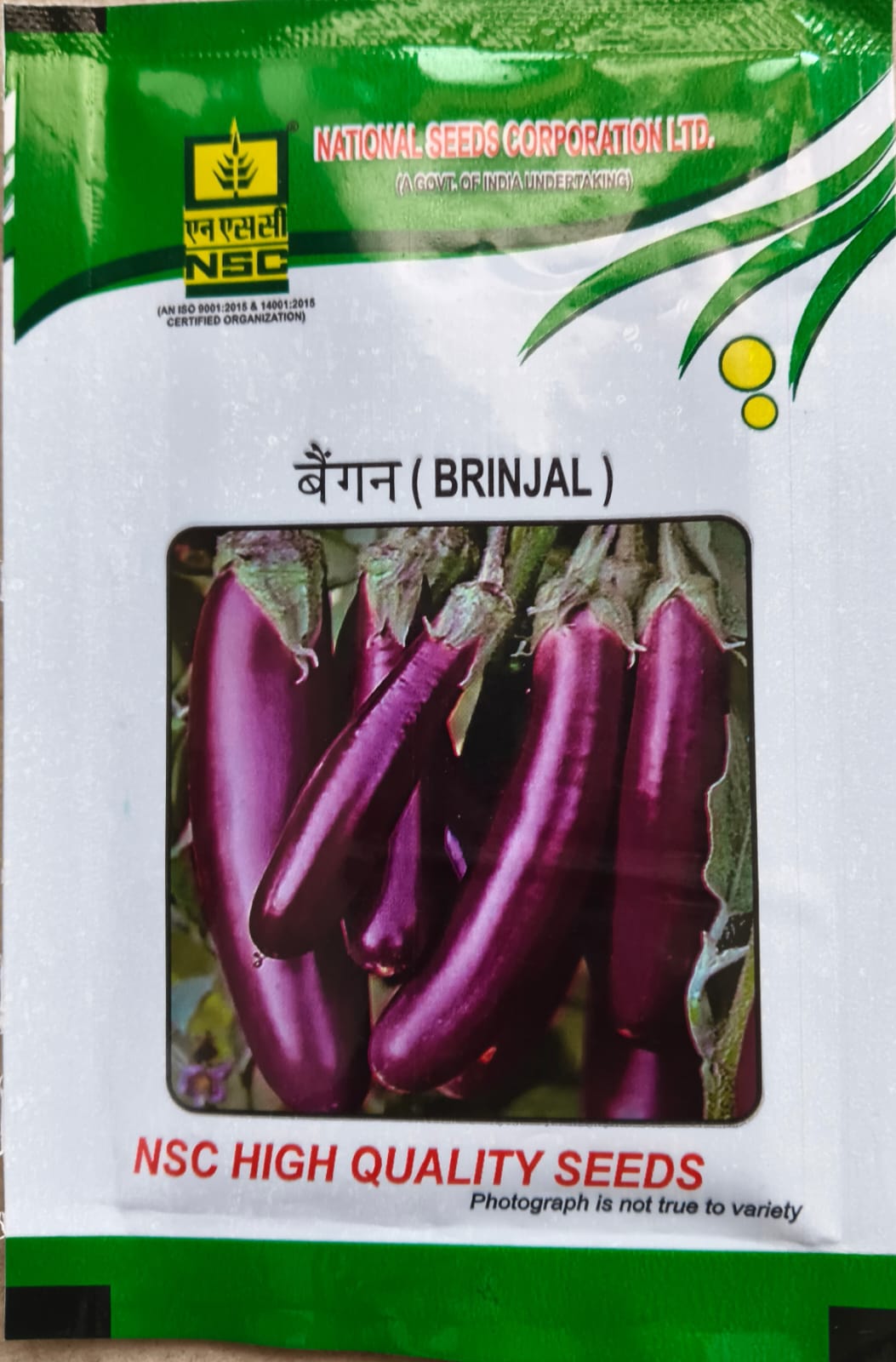 Brinjal PPL